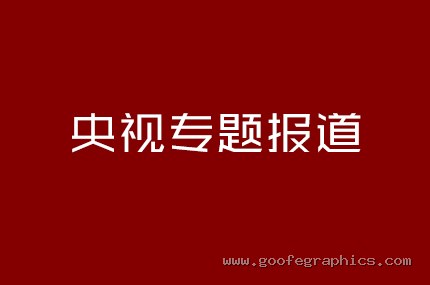 央视专题报道